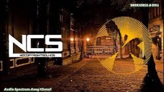 unknown_Brain_saygodbay [ NCS_Nocopyrightsounds ] 💯💯💯