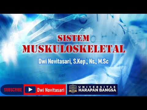 SISTEM MUSKULOSKELETAL