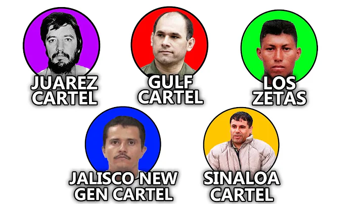 Mexican Drug Cartels Explained in 15 Minutes
