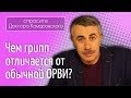 Чем грипп отличается от обычной ОРВИ? - Доктор Комаровский