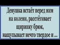 Девушка переходит к решительным действиям.  Подборка смешных анекдотов.