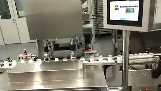 bottles capping machine automatic screw capper two heads equipment