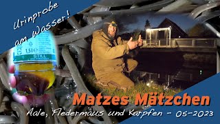 Matze Koch: Aale, Fledermäuse, Karpfen - Matzes Mätzchen 05-2023