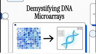 Gene analysis /Microarray 