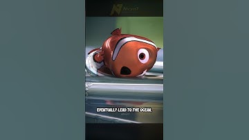 Did you know in FINDING NEMO #shorts #movie #moviefacts #film #shortvideo #nvyn7