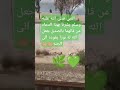 بشرنا النبي صلى الله عليه وسلم بهذا الذكر العظيم الله اكبر ترند اكسبلور بشرنا النبي صلى الله عليه وسلم بهذا الذكر العظيم الله اكبر ترند اكسبلور
