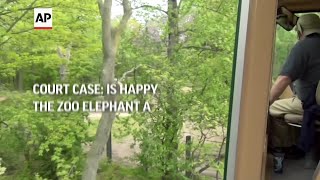Court case: Is Happy the zoo elephant a person?
