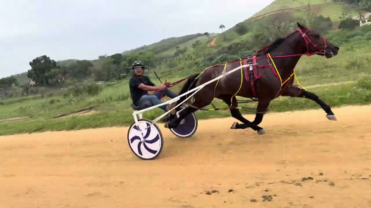 1º Espartano 2.08,74; 2º Imperador 2.10,41; 3º Empresario 2.14,47