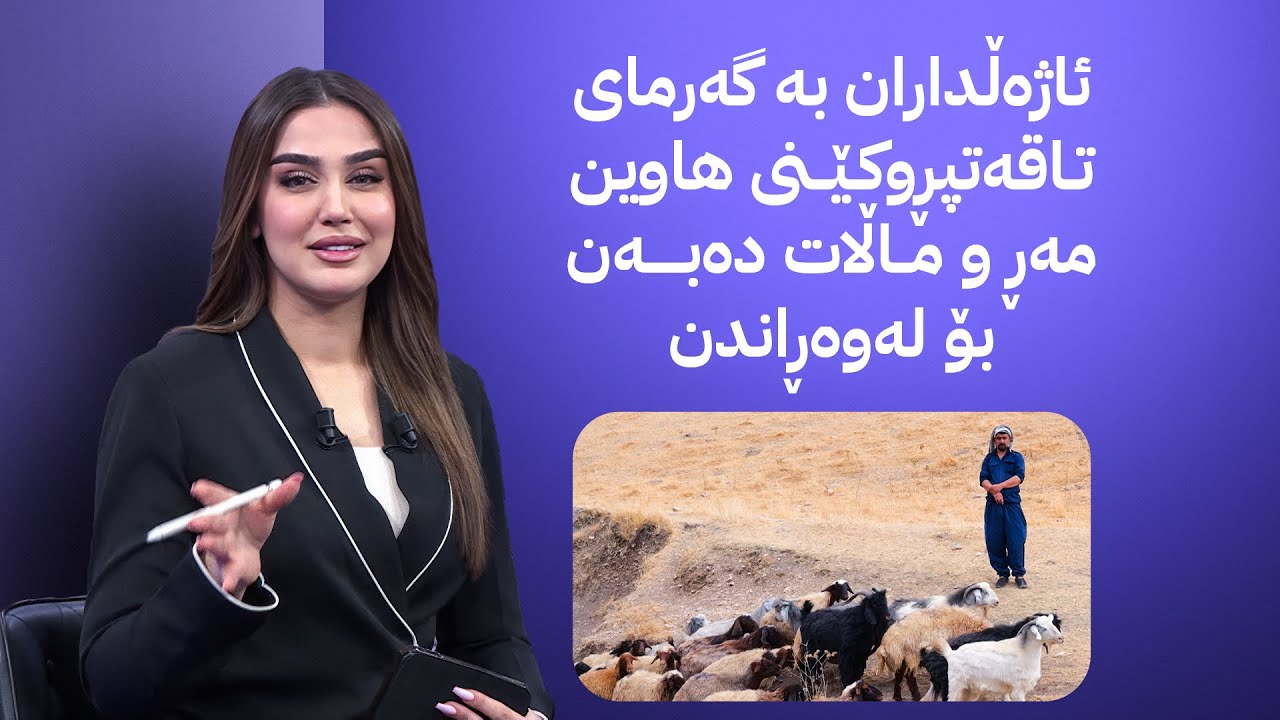 چیرۆکی محەممەد حوسێن کە ماوەی 10 ساڵە شوانی مەڕ و ماڵات دەکات