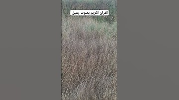 القرآن الكريم بصوت جميل #اكسبلور #قرآن #تيك_توك #لايك #ترند #راحة_نفسية #quran #ديكور #في