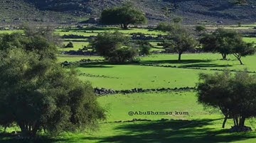 قصة موسى مع قومه ما تيسر من سورة المائدة أبو شمسة الكمزاري