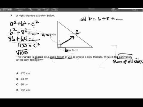 STAAR Practice - Problem #7