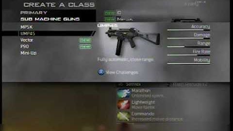 MW2 Every Title Emblem Gun Killstreak 10 Prestige