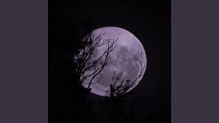Dark Paradise - Lil Sas