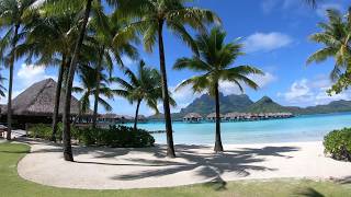 24/7 LIVE Tropical Paradise 🔥 | Luxury Bora Bora & Maldives in 4K Ultra HD with Calming Music