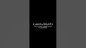 كروما شاشة سوداء قرآن كريم 🌿تلاوة من سورة الحجر🌿القارئ أحمد خضر 🌿