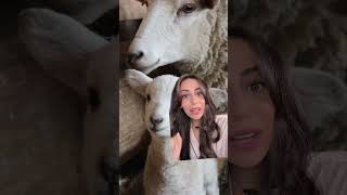 Kylie Jenner Uses Cream For Dry Lips? Derm React Dr Adel