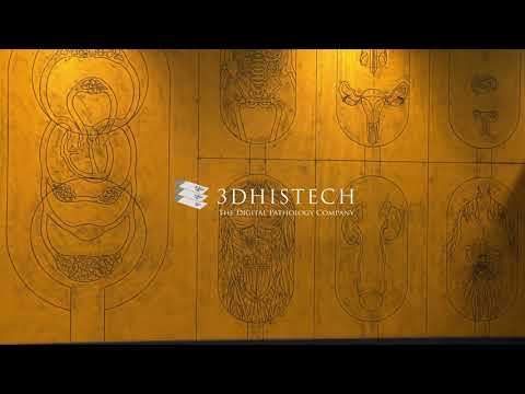 Research solutions from 3DHISTECH