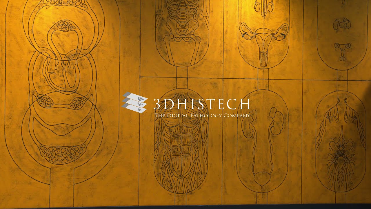 Research solutions from 3DHISTECH