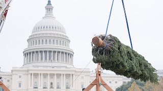 Timelapse of U.S. Capitol Christmas Tree from Nevada
