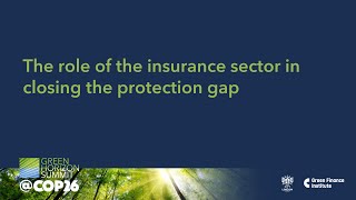 The role of the insurance sector in closing the protection gap