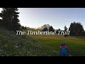 Silent hiking 40 miles on The Timberline Trail