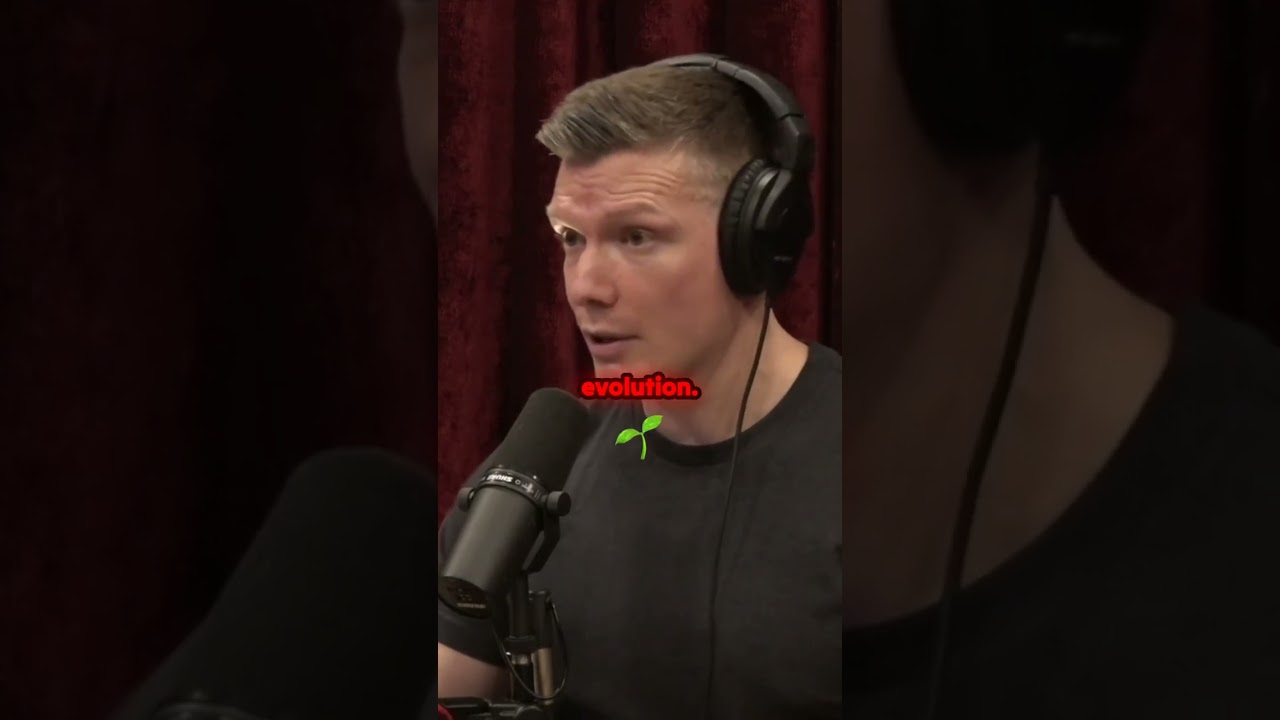 Сложные перспективы: исследование теистической эволюции!