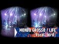 MONDO GROSSO / LIFE[Vocal:bird](VR180 experience) at FUJI ROCK FESTIVAL '17