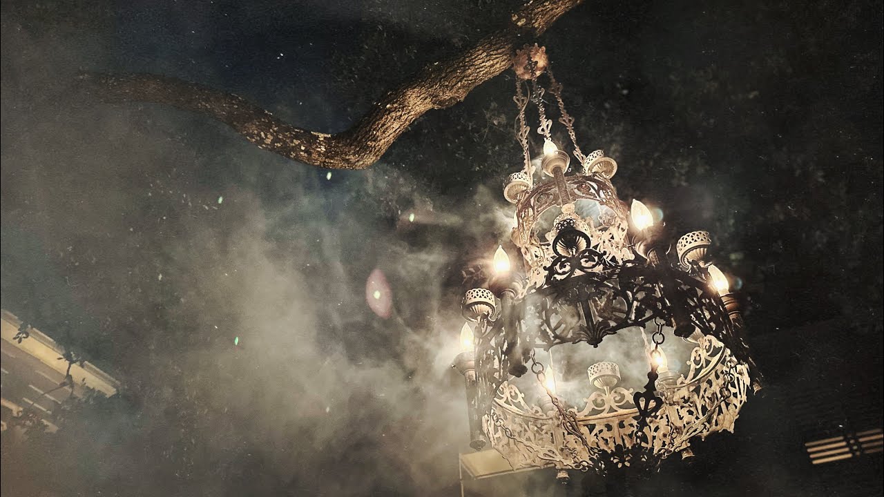 Bloom by Wind In Sails