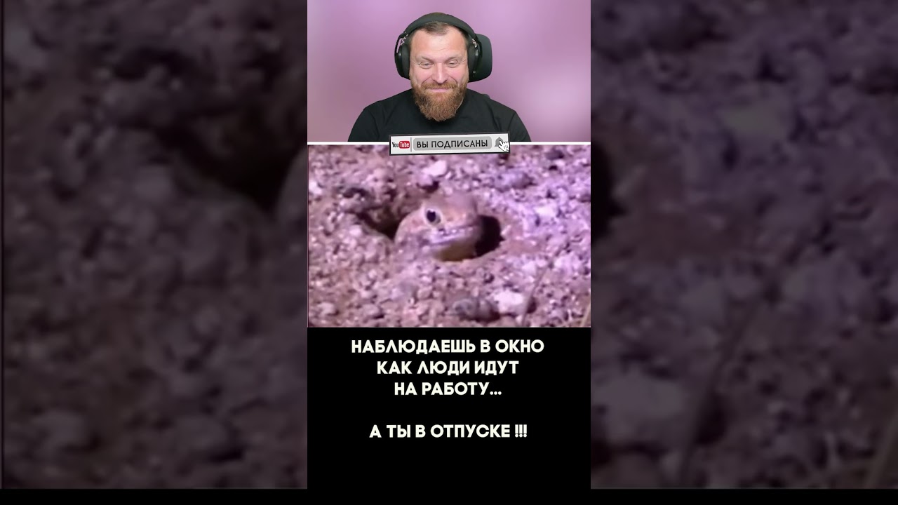 Петренто отпуск #петренто #petrento #реакция #прикол #приколы #мем #мемы #юмор #смех #memes #funny