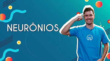 O que todos os neurônios têm em comum?