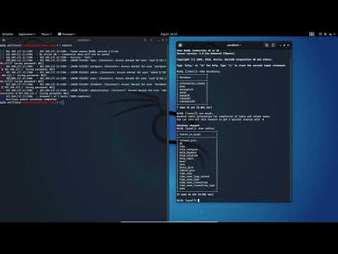 MySql Exploitation | Port 3306 | Metasploitable2 MySql hacking | Pentester YouTube Channel