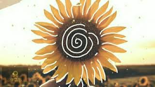 Download Lagu Jeff Bernat - Call You Mine || Terjemahan Lirik Indonesia MP3