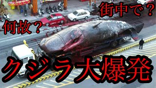 クジラ大爆発？クジラは何故爆発するのか