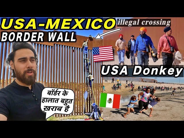 Why INDIAN People Cross (USA - MEXICO) Border by Donkey Process class=