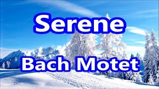 Bach Motet, Lobet den Herrn, BWV 230