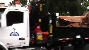Cleanup underway after severe weather strikes Central Florida