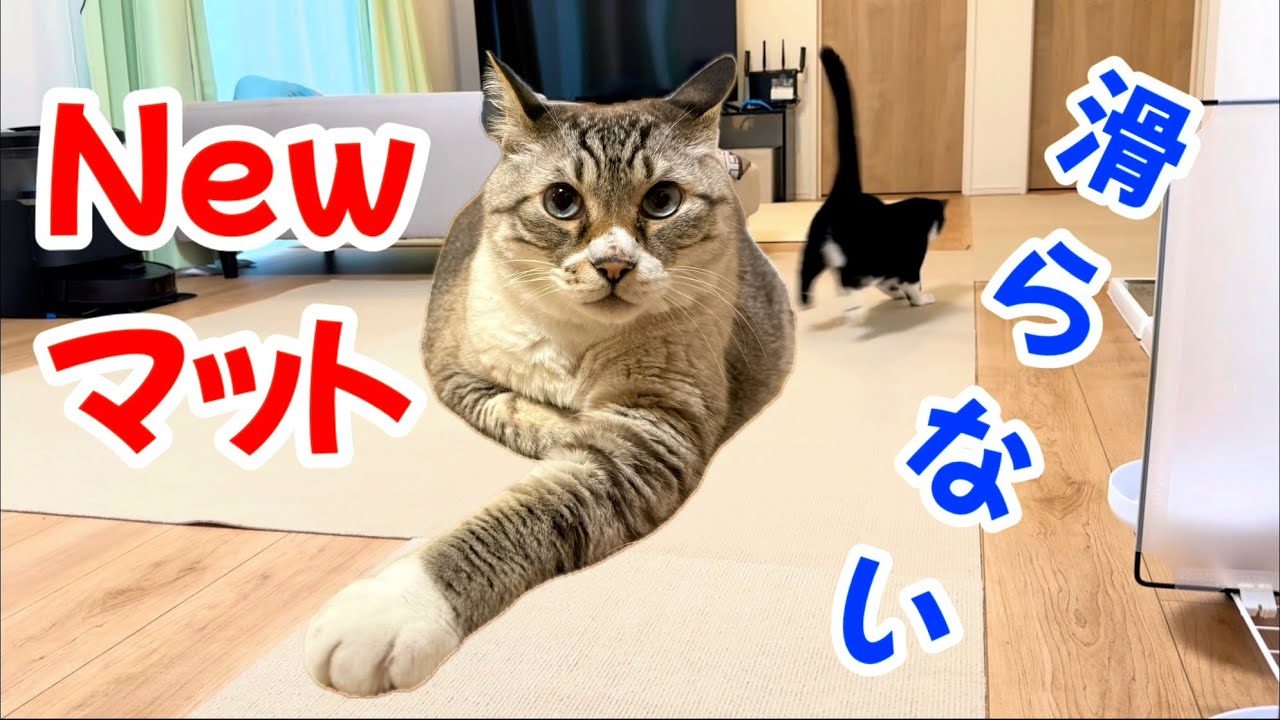 So Excited!? I Installed New Non-Slip Floor Mats - YouTube