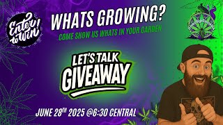 Let's Talk Giveaway and Whats growing in your garden?