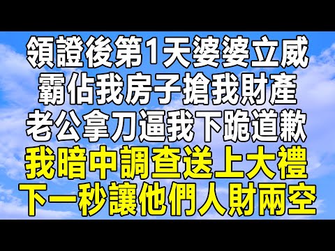 領證後第1天婆婆立威，霸佔我房子搶我財產，老公拿刀逼我下跪道歉，我暗中調查送上大禮，下一秒讓他們人財兩空！#情感秘密 #情感 #民间故事 #中年 #深夜故事 #家庭 #為人處世 #老年 #民间故事会