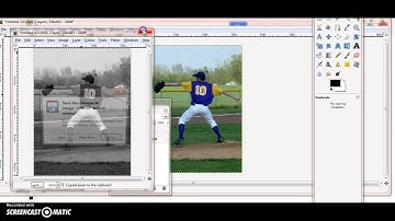 Selective Colorization Using GIMP