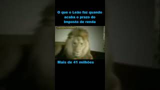 O QUE O LEÃO FAZ QUANDO ACABA O PRAZO DA DECLARAÇÃO DO IMPOSTO DE RENDA | MAURICIO BELES