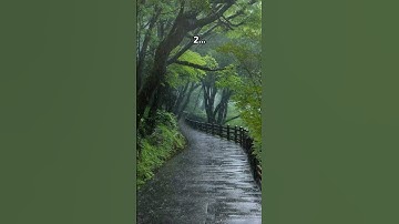 Which path are you going to walk ? ✨✨💫❤️#aesthetic #vibes #path #road#calmvibes #peacefulvibes