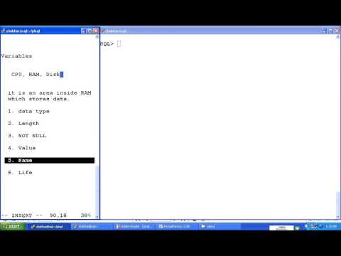 PL/SQL (Variables)
