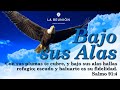 Bajo sus Alas - Pr Chito Rendón