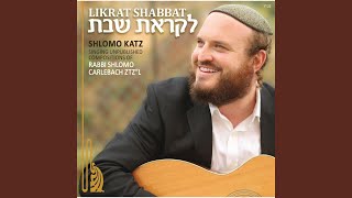 Video thumbnail of "Shlomo Katz - Veyeda"