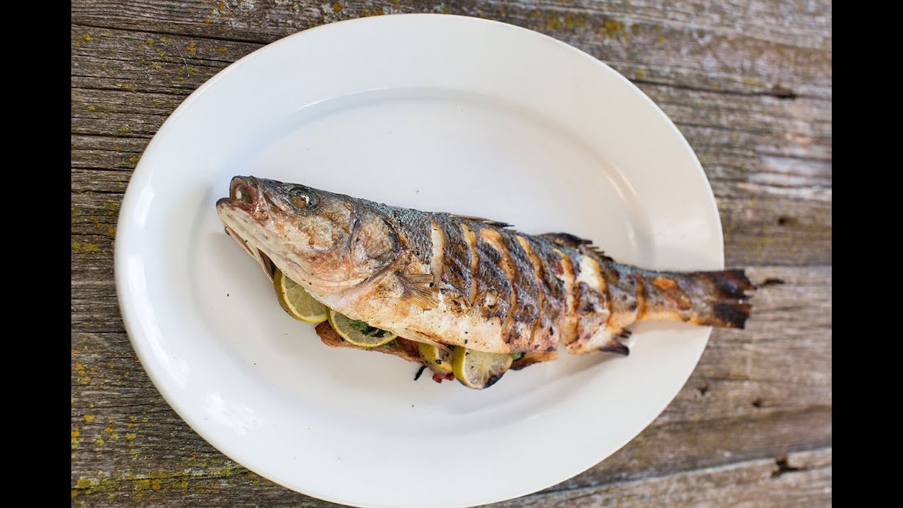 Mediterranean Sea Bass YouTube