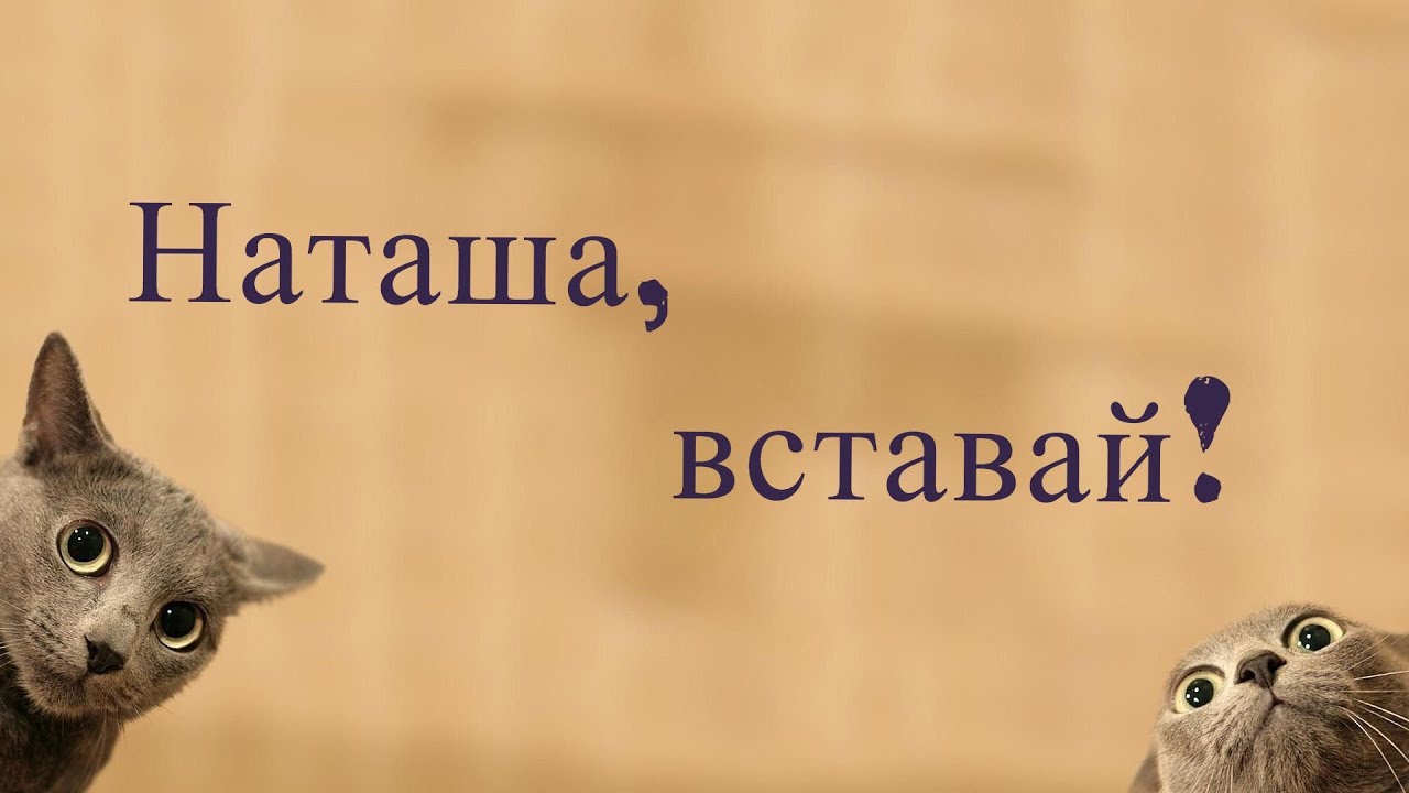 Наташа Мы Все Уронили Коты Фото