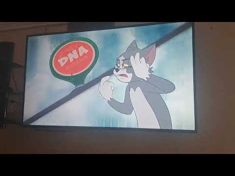 My reaction to Death battle Wile E vs Tom Cat