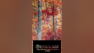 سورة النبأ كاملة للقارئ ابو زينب